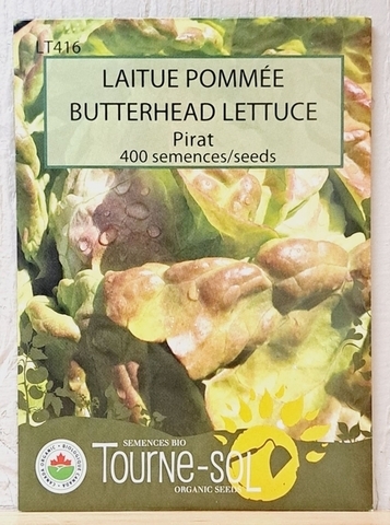 SEEDS - Lettuce Butterhead (Tourne-sol)